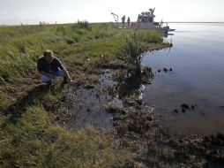 La demanda del Gobierno federal por el derrame en el Golfo de México está avanzando en tribunales, señalan. AP / ARCHIVO