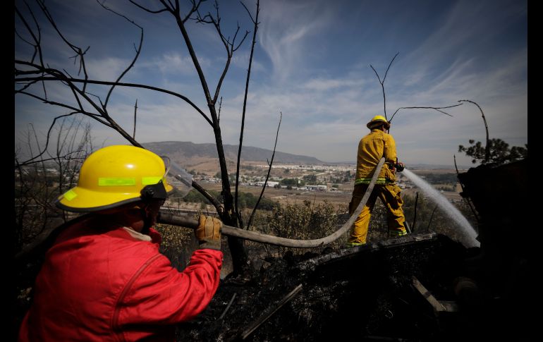 Bomberos tras un incendio en Pinar de La Venta, en Zapopan. El incendio registrado el 15 de mayo provocó la evacuación de al menos 600 habitantes de la zona. En la temporada de estiaje se registraron 491 incendios forestales en todo el Estado. EL INFORMADOR