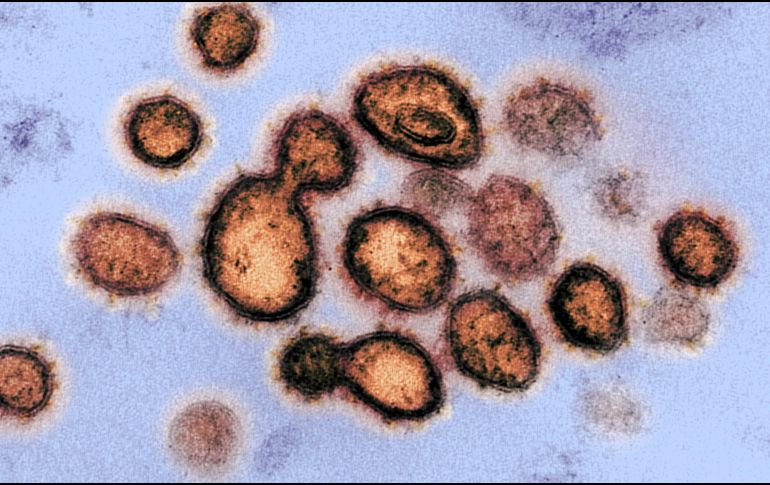 De acuerdo a un estudio, el coronavirus puede permanecer en el aire de los espacios que carecen de ventilación.  EFE / ARCHIVO