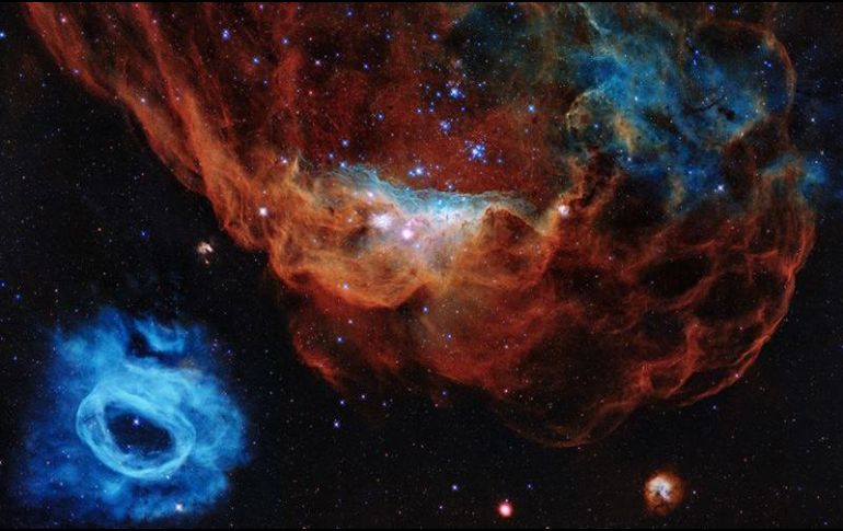La foto muestra la nebulosa gigante NGC 2014 y su vecina NGC 2020, como las captó el Hubble. NASA/ESA