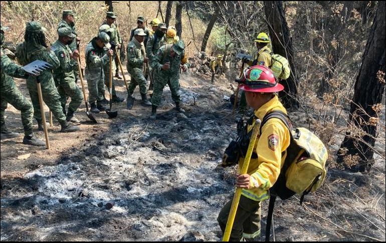 En caso de detectar incendios forestales, la autoridad pidióreportarlos de inmediato a las líneas de teléfono 33 3636 8252 y 800 INCENDIO. ESPECIAL/BOMBEROS DE ZAPOPAN