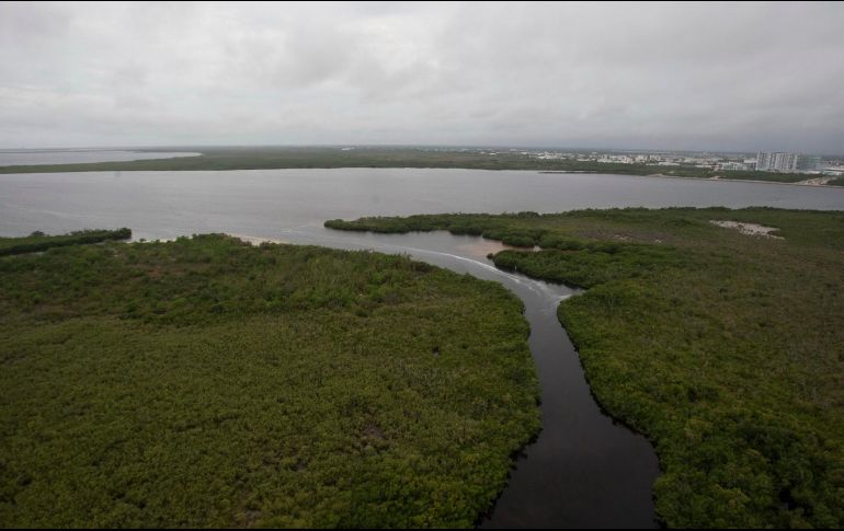 La tala ilícita de estos mangles se realiza con el fin de utilizar los terrenos para fines inmobiliarios, ya sea para la construcción de hoteles, casas, cuarterías o negocios. NTX/ARCHIVO