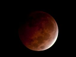 El eclipse de noviembre será visible durante las primeras horas del próximo viernes 19. NTX / ARCHIVO