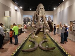 Museo de Paleontología. EL INFORMADOR-J.A. CAMACHO.