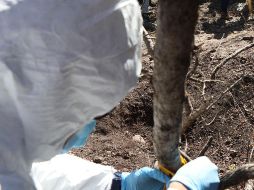 “Madres buscadoras de Sonora”, tiene un listado de más de tres mil desaparecidos y ha rescatado con sus propios recursos más de 900 cuerpos en fosas clandestinas. EFE/Archivo