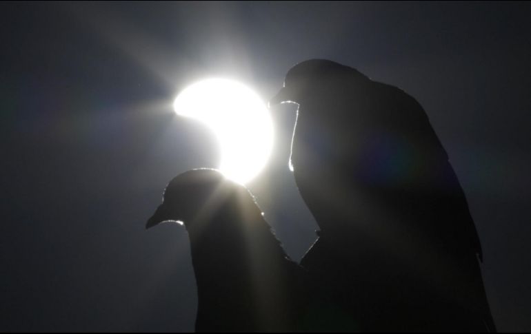 El eclipse solar es uno de los fenómenos astronómicos más sorprendentes de los que podemos ser partícipes. EFE/ARCHIVO