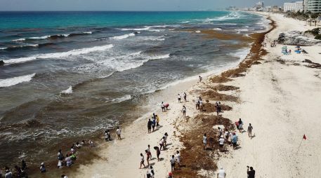 Decenas de personas limpian las playas de Cancún, Quintana Roo. EFE/ARCHIVO