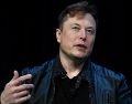 Desde que Elon Musk anunció la compra de Twitter en abril de este año, las dudas sobre su transacción se han puesto en duda. AP/S. Walsh