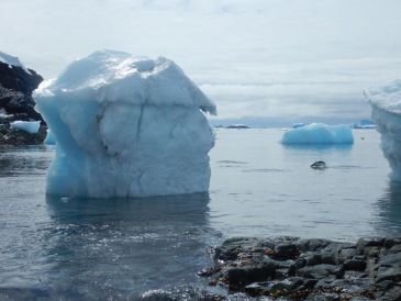 Científicos externan su preocupación por lo que harían estas bacterias de la Antártida si llegaran a esparcirse por el resto del mundo. EFE/CENTRO INVESTIGACIÓN IDEAL