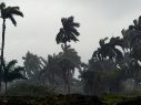 En coordinación con el Centro Nacional de Huracanes de Miami, Florida se establece zona de prevención por efectos de huracán desde Salina Cruz, Oaxaca, hasta Punta Maldonado, Guerrero. EFE / ARCHIVO