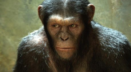 Los científicos no están de acuerdo con el actual nombre de la viruela del mono. EFE/Twentieth Century Fox
