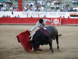 La SCJN, sin embargo, no se pronunció sobre si deben ser prohibidos eventos como las corridas de toros o las peleas de gallos. EL INFORMADOR/ARCHIVO
