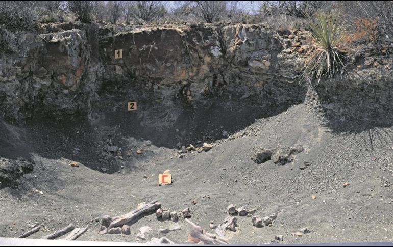 Esta zona paleontológica ofrece la oportunidad de apreciar elementos geológicos  y fósiles del Cretácico. EL INFORMADOR/A. Rodríguez