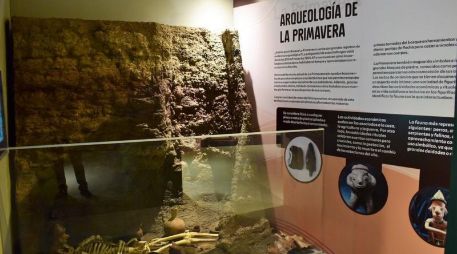 La muestra permanecerá abierta al público de forma gratuita hasta abril de 2023 en el Museo de Paleontología. ESPECIAL/Gobierno de Guadalajara