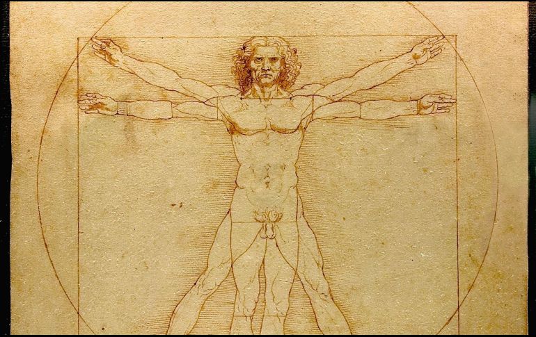 La figura que Leonardo trazó es un canon de proporciones humanas, en las que un dedo se relaciona a la palma de la mano y ésta al codo. WIKIPEDIA/Hombre de Vitruvio/Luc Viatour