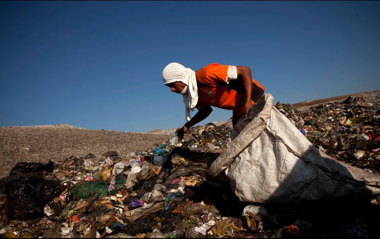 A Picachos se enviarían mil 500 toneladas de basura del municipio tapatío. EL INFORMADOR/ ARCHIVO