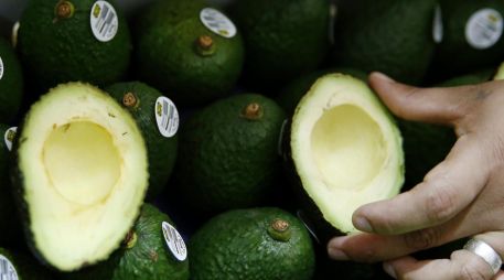 Los cultivadores de aguacate en Jalisco, planean aumentar las exportaciones de esta fruta a los Estados Unidos en 15 mil 227 toneladas para satisfacer la demanda durante el Super Bowl. EL INFORMADOR / ARCHIVO