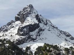 Los primeros tres kilómetros son moderados y boscosos. ESPECIAL / Parque Nacional Volcán Nevado de Colima / ARCHIVO