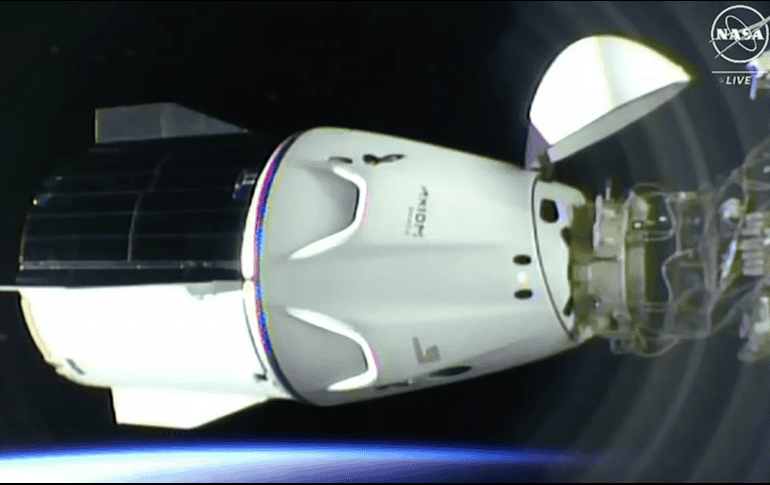Los cuatro tripulantes de la Crew-8 llevarán a cabo la octava misión a bordo de una cápsula Dragón. X/@SpaceX