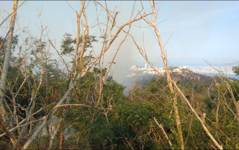 El pasado 29 de febrero comenzó el primer incendio en la parte alta de la colonia de Dragos, en las inmediaciones de la zona Puerto Marqués. X/@PC_Guerrero.