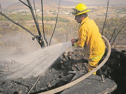 Las autoridades se preparan para evitar las afectaciones por incendios forestales que se tuvieron en 2023. EL INFORMADOR