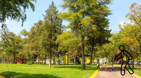 Estos son los mejores parques para caminar en la ciudad. EL INFORMADOR / ARCHIVO