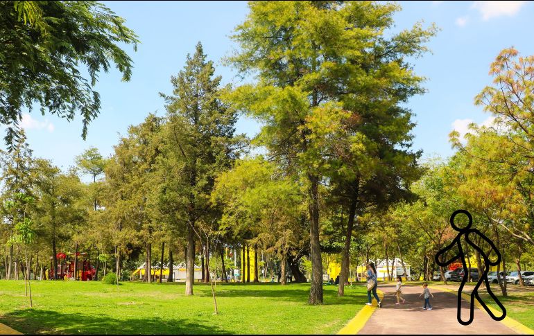 Estos son los mejores parques para caminar en la ciudad. EL INFORMADOR / ARCHIVO