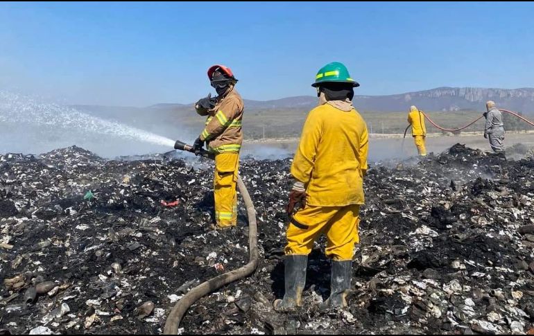 En el combate al fuego, participaron elementos de bomberos de Tlaltenango, Zacatecas, así como de Protección Civil estatal, Villa Guerrero y  Santa María. ESPECIAL.
