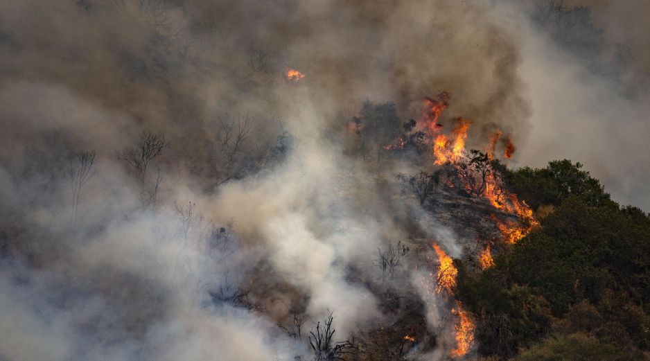 Los incendios forestales han azotado al estado de Guerrero. EFE/ARCHIVO