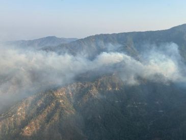 Se reportan dos incendios forestales dentro del estado. ESPECIAL/ Semadet